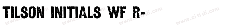 Tilson Initials WF R字体转换